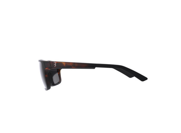 BBB Spectre BSG-66 Briller Tortoise PC Smoke 