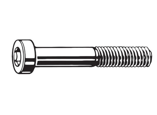TRP Skrue for FM kalipper Bak 2 Stk Torx T25, M5 x 17 mm, Flatmount 