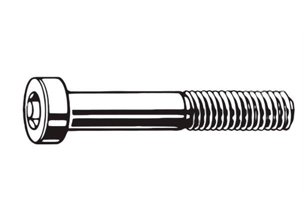 TRP Skrue for FM kalipper Bak 2 Stk Torx T25, M5 x 27 mm, Flatmount 