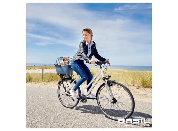 Basil Buddy Dome Bur Bur til Basil Buddy 