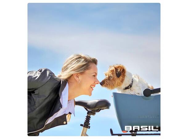 Basil Buddy Dome Bur Bur til Basil Buddy 