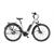 KTM Macina Central P510 RT 43mmChampagne X-Small, SH Nexus 5 RT + BOSCH SI-P5I4 