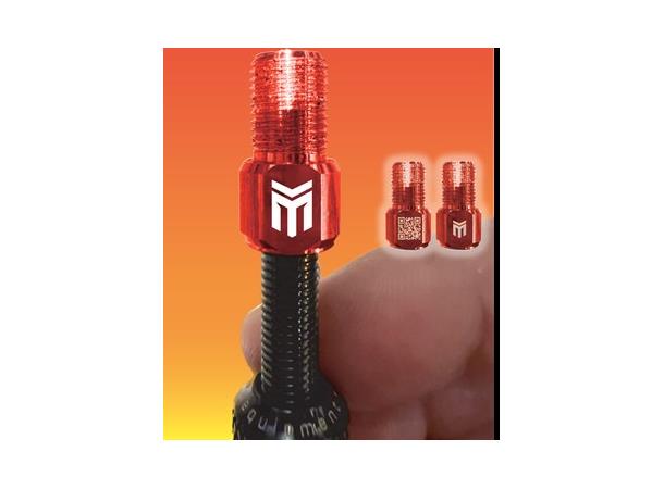 Maxxis Maxxout Ventilovergang m/verktøy 10pk, fra presta- til bil-ventil 