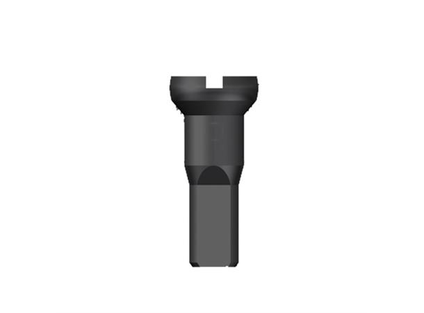Sapim Round Head Sort Eikenipler Messing, 2.34 x 14.5mm, 500pk 