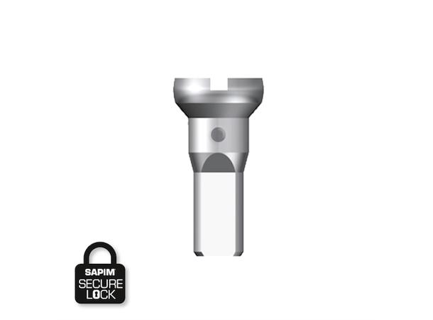 Sapim Round Head Sølv Eikenipler Messing, 2 x 12mm, Secure Lock, 500pk 