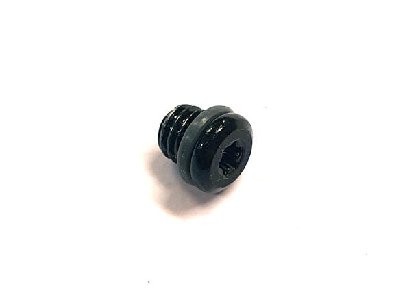 TRP DH-R EVO Lufteskrue Sort, M6x5.5mm, inkludert o-ring, 10pk 