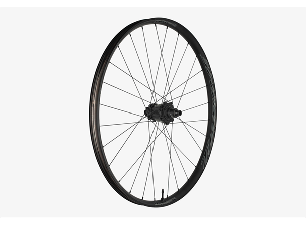 Race Face Turbine R35 29" Bakhjul 35mm, Sett 1730g, IS 