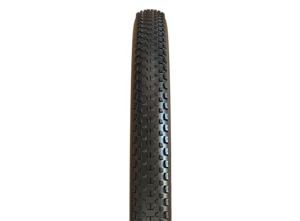 Maxxis Ikon TR EXO Dekk 2.20, E25, 60TPI, 2C 