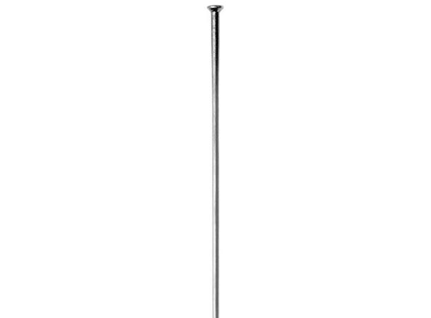 Sapim Leader SP Eike Sølv Straight Pull, 2.00mm, 1 stk 