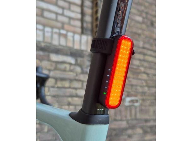 BBB Signal BLS-255i Baklykt 80 Lumens, USB-C, Sort 