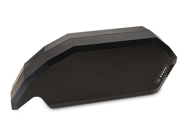 E-Bike Vision Bosch Powerpack 720Wh Active/Performance, Ramme, 20Ah, 3.7kg 