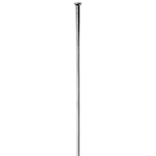 Sapim Leader SP Eike Sølv Straight Pull, 2.34mm, 1 stk