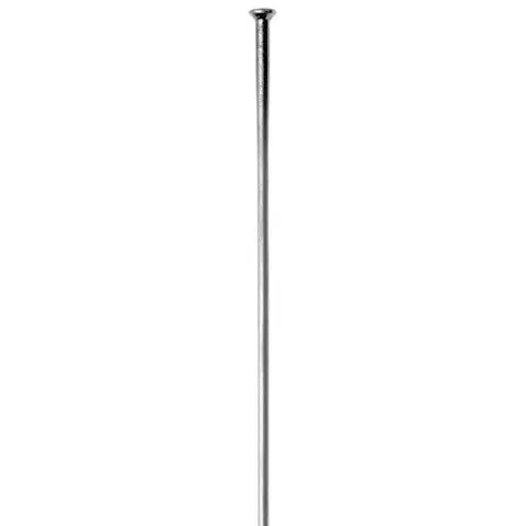 Sapim Leader SP Eike Sølv Straight Pull, 2.00mm, 1 stk