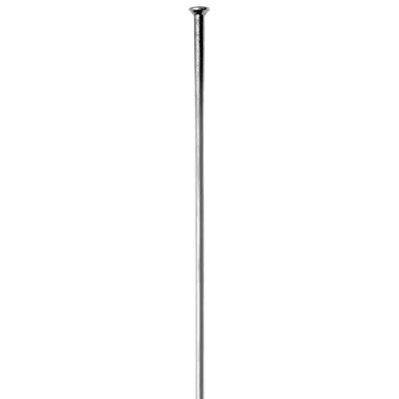 Sapim Leader SP Eike Sølv Straight Pull, 2.00mm, 1 stk 