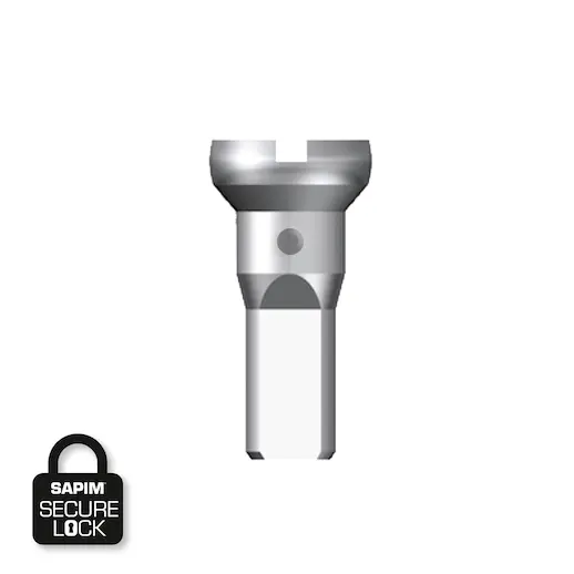 Sapim Round Head Sølv Eikenipler Messing, 2 x 12mm, Secure Lock, 500pk 