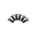 TRP Bresmeskive Skrue TITAN Sett Torx T25, M5, 6stk