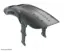 RRP ProGuard Rear MINI Bakskjerm Sort Til Bakramme, opptil 3" dekk, 325mm,127g