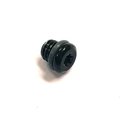 TRP DH-R EVO Lufteskrue Sort, M6x5.5mm, inkludert o-ring, 10pk