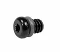 TRP DH-R EVO Lufteskrue 10 Pakk Sort, M6x5.5mm, inkludert o-ring