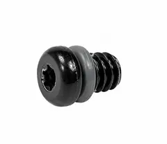 TRP DH-R EVO Lufteskrue 10 Pakk Sort, M6x5.5mm, inkludert o-ring