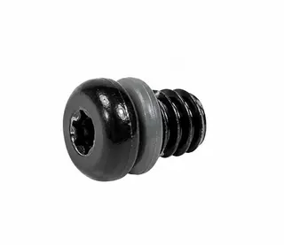 TRP DH-R EVO Lufteskrue 10 Pakk Sort, M6x5.5mm, inkludert o-ring