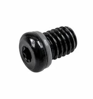 TRP EVO Pro Lufteskrue 10 Pakk Sort, M6x7mm, inkludert o-ring