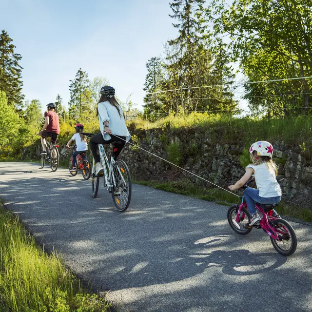 Kidreel Drakassett Blå Snelle for tauing av barn, 1.9m line 
