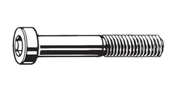 TRP Skrue for FM kalipper Bak 2 Stk Torx T25, M5 x 22 mm, Flatmount