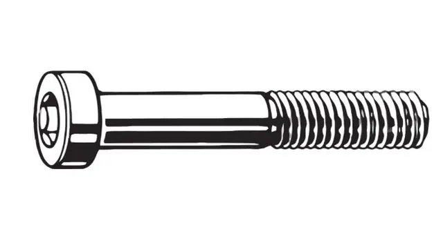 TRP Skrue for FM kalipper Bak 2 Stk Torx T25, M5 x 22 mm, Flatmount 